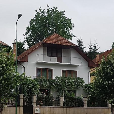 Madalina Apartment Brasov Bagian luar foto