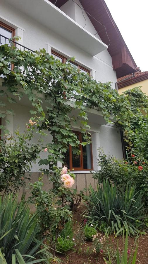 Madalina Apartment Brasov Bagian luar foto